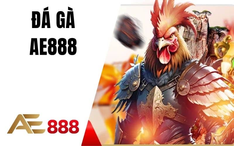 Đá gà AE888 cho phép người chơi theo dõi và cá cược đá gà