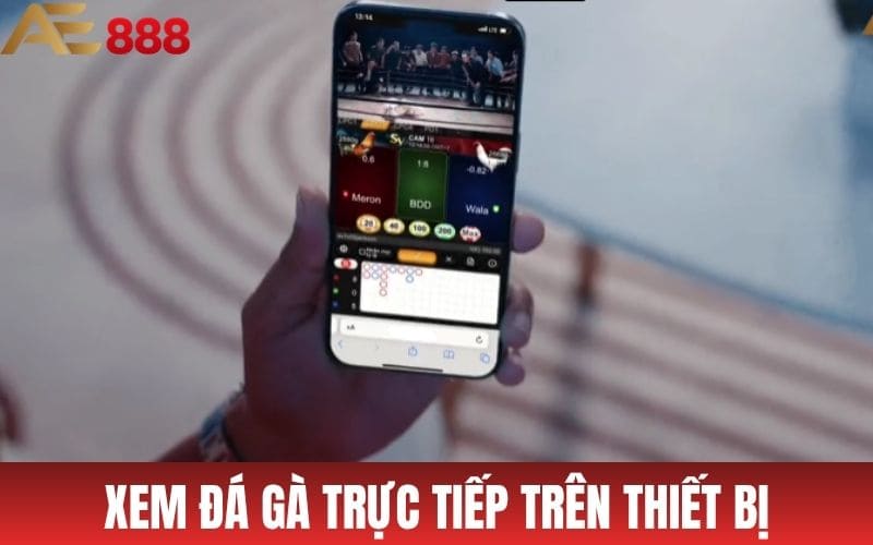 Có thể xem trực tiếp đá gà AE888 trên các thiết bị kết nối internet
