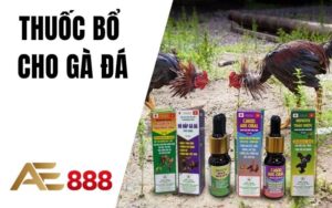 Thuốc Bổ Cho Gà Đá