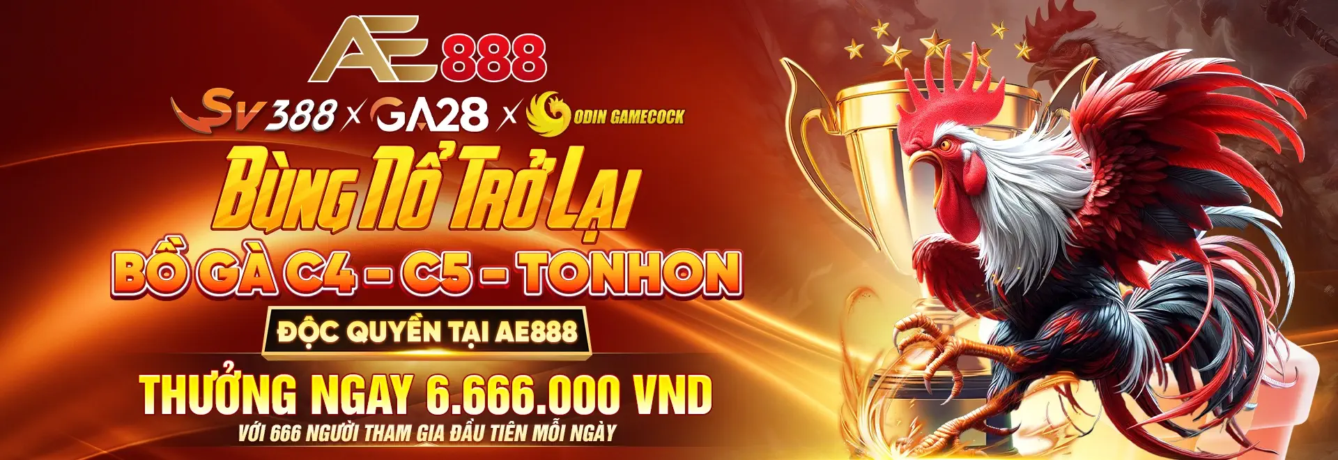 banner ae888